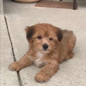 Meet your Posher, Aaron